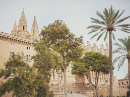palma-tur
