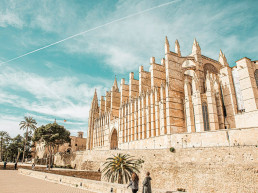 palma-tur